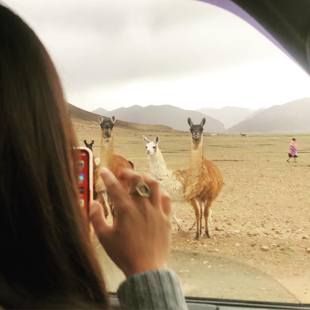 Hanging with llamas in Bolivia
